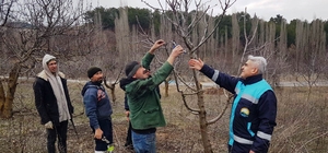 Şaphane'de meyve üreticilerine budama teknikleri eğitimi