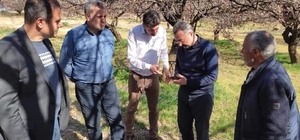 Elazığ'da zirai don nedeniyle hasar tespit çalışmaları başladı