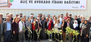 Mersin'de 105 üreticiye avokado ve alıç fidanı desteği