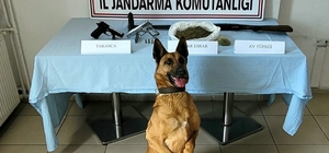 Jandarmadan uyuşturucu operasyonu: 1 gözaltı