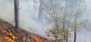 Akli dengesi bozuk şahıs ormanı yaktı, 1,9 hektar alan zarar gördü