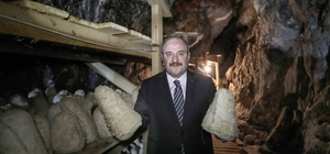 Bakan Varank: "Divle obruk peynirinin kapasitesini arttırmayı hedefliyoruz"