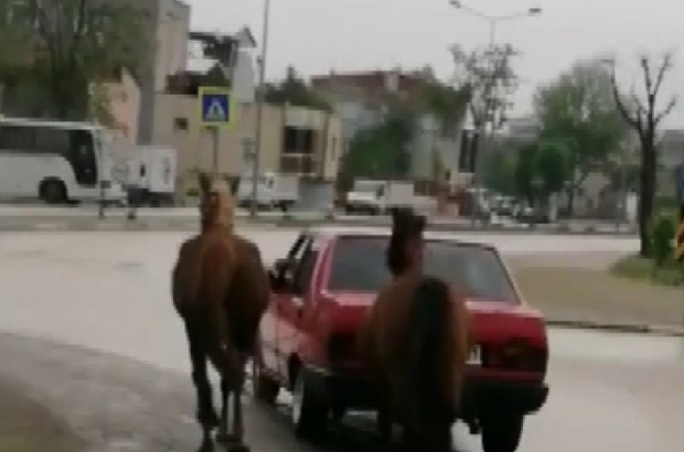 O sürücüye ceza yağdı
Aracına bağladığı atları çeken sürücüye ceza