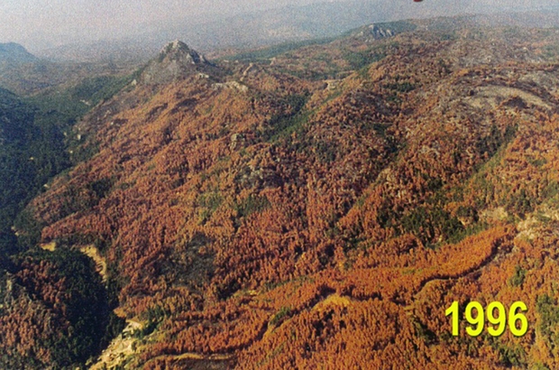 26 yıl önce yandı, yeşil ile mavi tekrar buluştu
Muğla’da 1996 yılında orman yangınında yanan 6 bin 452 hektarlık alan 26 yılda değişimi havadan görüntülendi
Değişim fotoğraf karelerine yansıdı