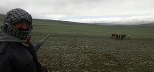 Tekman'da Mayıs ayında kar sürprizi