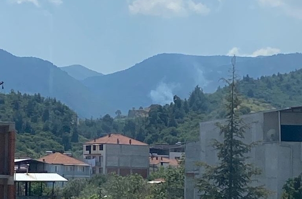 Manisa'da çıkan orman yangınında 1 hektar alan zarar gördü
Manisa'nın Ahmetli ilçesinde çıkan yangın ekiplerin zamanında müdahalesi ile büyümeden söndürüldü