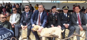 Balıkesir’de 19 Mayıs törenlerinde protokol tribününe çıkan köpek ilginç görüntüler oluşturdu