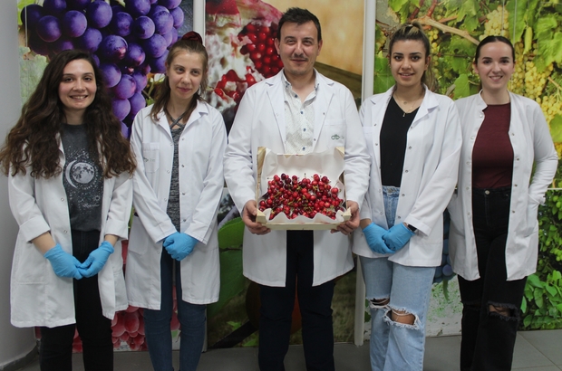 Önce analiz sonra ihracat
Sultaniye üzüm güvenle tüketilebilecek
Meyve ve sebzede ihraç ürünler önce laboratuvara
İhracat ürünü meyve ve sebzelerdeki pestisit oranlarının ölçüldüğü laboratuvarda 648 adet pestisit etken maddenin analizi yapılıyor