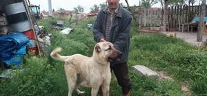 Arazi kavgasında baba yaralandı, oğlu hayatını kaybetti