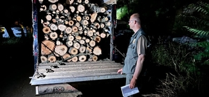 Salihli'de orman kaçakçılarına geçit yok