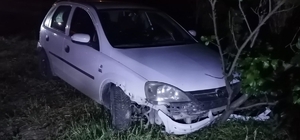 Köpeğe çarpan otomobil bir evin bahçesine savruldu: 1 yaralı