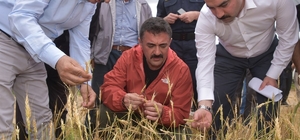 Validen doğal afetlere karşı çiftçilere uyarı: "TARSİM sigortasını yaptırın...