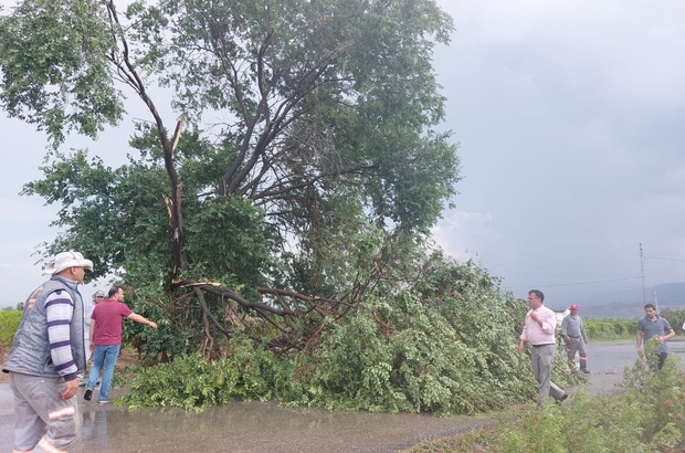 Alaşehir'i fırtına ve dolu vurdu
Fırtına sebebiyle devrilen ağaç yolu kapattı