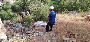 Bitlis'te trafik kazası: 1 ölü