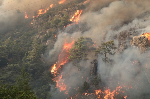 Orman yangınlarına karşı mücadele seferberliği
Bodrum Belediyesi’nden vatandaşlara çağrı