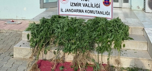 İzmir'de 11 ilçede uyuşturucu operasyonu: 25 şüpheliye işlem