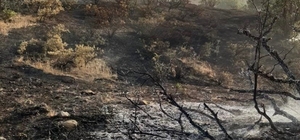 Elazığ'da ormanlık alanda çıkan yangın büyümeden söndürüldü