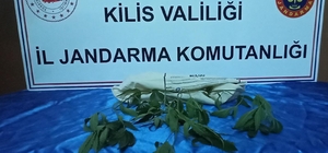 Kilis'te uyuşturucu operasyonu