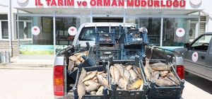 Elazığ’da kaçak avlanan 84 kişiye 350 bin lira ceza