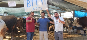 İzmir'deki kurban pazarlarında hayvanların büyük çoğunluğu satıldı
"Bitti" yazısı asıp çadırlarını kapattılar, satıcıların keyfi yerinde