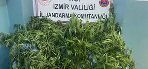 İzmir'de jandarmadan 8 ilçede uyuşturucu operasyonu
Operasyonda çok sayıda uyuşturucu madde ele geçirildi, 21 şüpheli hakkında adli işlem başlatıldı