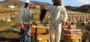 Yaylaları çiçeklerle kaplanan Bayburt'ta bal sezonu bereketli geçecek
