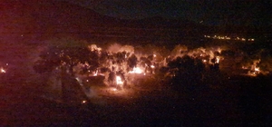 İzmir'de zeytinlik yangını kontrol altına alındı