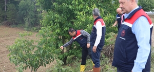 9 ayrı ekiple hasar tespit çalışmaları sürdürülüyor