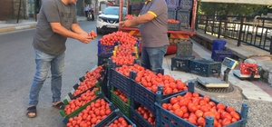 Salçalık domates fiyatları el yakıyor