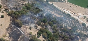 İzmir'de ziraat arazisindeki yangına havadan ve karadan müdahale