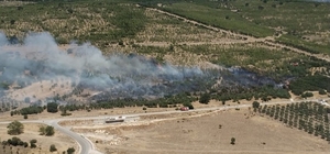 İzmir'de ziraat arazisindeki yangın kontrol altında