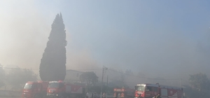 İzmir’de çıkan yangın kontrol altına alındı