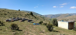 Kovan hırsızları kıskıvrak yakalandı