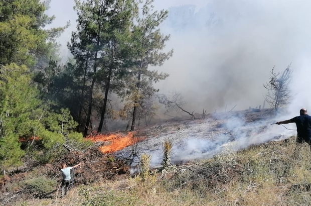 Manisa’daki orman yangınında ekip sayısı artırılıyor
Yaklaşık 3 saattir devam eden yangın rüzgar nedeniyle kontrol altına alınamıyor