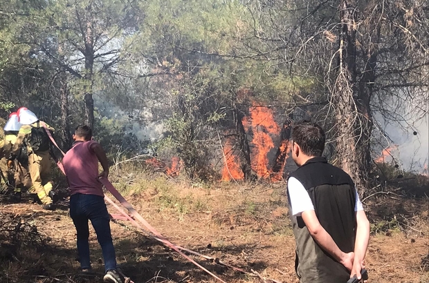 Manisa Gördes'teki orman yangınında ekipler seferber oldu
Orman yangını 3 ayrı parçadan devam ederken kuvvetli rüzgar ekiplerin işini zorlaştırıyor