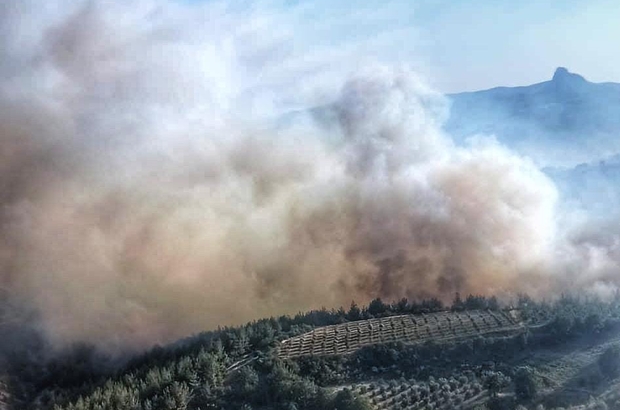 Yangın söndürme çalışmaları İHA tarafından görüntülendi
Manisa'daki orman yangınında 460 hayvan tahliye edildi