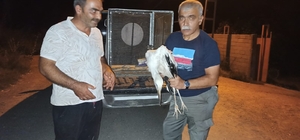 Rüzgardan etkilenen leylek tedavi altına alındı