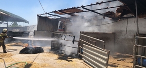 Seferihisar’daki iki orman yangınında 3 ev, 12 araç ve 1 bekçi kulübesi yandı
Seferihisar Belediye Başkanından son dakika orman yangını açıklaması