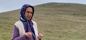 74 yaşındaki kadın yayla şenliğinde kalbine yenik düştü
Kadırga Yayla şenli...