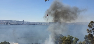 İzmir'de otluk alanda yangın