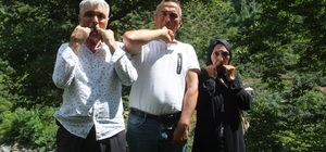 23. Uluslararası Kuşdili Festivali yapıldı