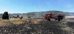 Emet'te 45 dönüm hububat ekili alan yandı