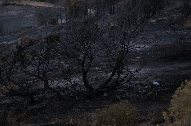 Akhisar’daki orman yangını devam ediyor
Havanın kararması sebebiyle yangına gece görüşlü helikopter ile müdahale ediliyor
Kullanılmayan 8 ev küle döndü, 40 kişi bölgeden tahliye edildi