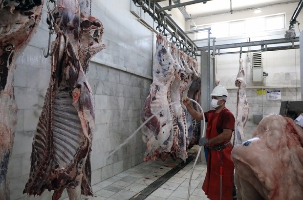 Büyükşehir mezbahalarında 31,6 milyon kilo kırmızı et üretildi
Muğla Büyükşehir Belediyesi mezbaha tesislerinde 2014 yılından bu yana 31 Milyon 630 Bin kilogram kırmızı et üretildi.