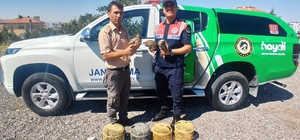 Araçta bulunan kınalı keklik kuşları koruma altına alındı