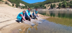 Hisarcık'ta baraj ve göletlere 40 bin yavru sazan balığı bırakıldı