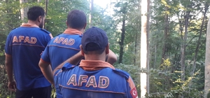 Kestiği ağacın altında kalan orman işçisi hayatını kaybetti