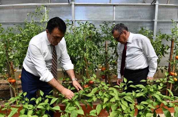 Bursa'da yerli ve milli tohum için işbirliği
Türk tarımının geleceği Osmangazi’de yön buluyor