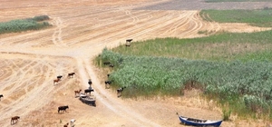 Kuruyan Marmara Gölü, Bozdağ'ın suyu ile hayat bulacak
Bozdağ'ın kar suları...