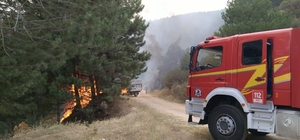 Denizli'de orman yangını büyümeden söndürüldü